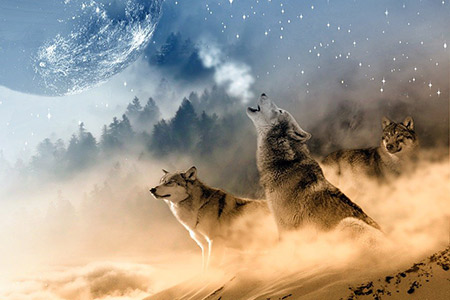 Anneaux en carbure de tungstène trois loups solitaires