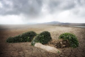 La nature est notre source de vie, et la protection de l'environnement est essentielle pour garantir un avenir durable pour les générations futures.